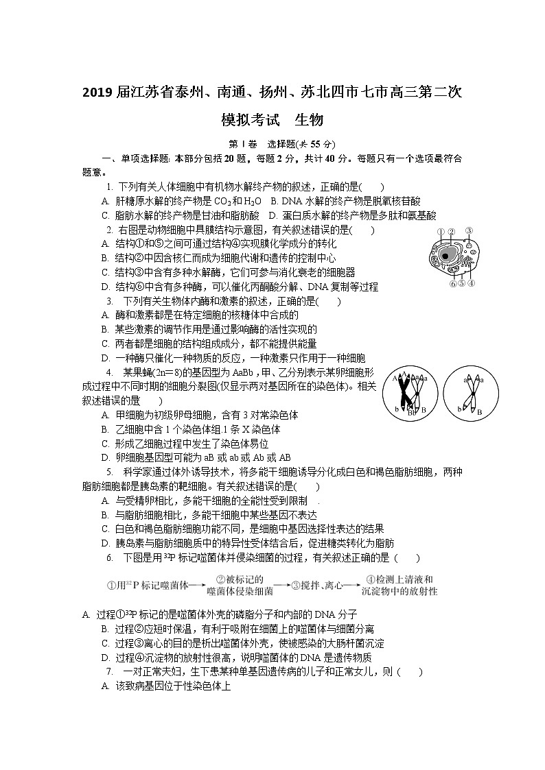 2019届江苏省泰州、南通、扬州、苏北四市七市高三第二次模拟考试  生物第1页