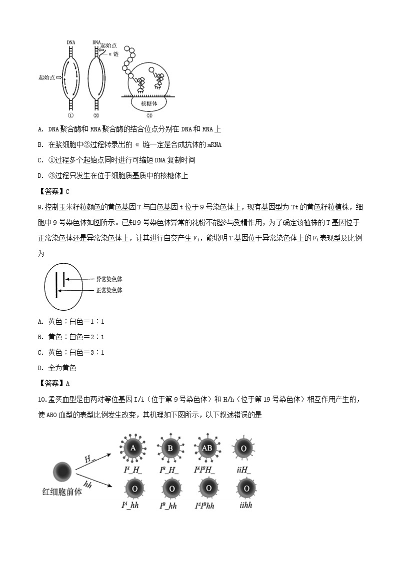 2019届江苏省徐州市高三高考模拟生物试题（word版）第3页