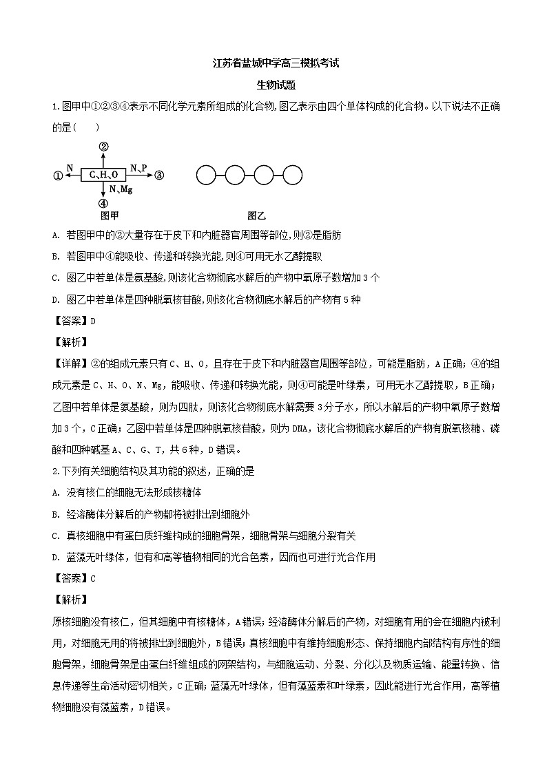 2019届江苏省盐城中学高三上学期模拟考试生物试题（解析版）第1页