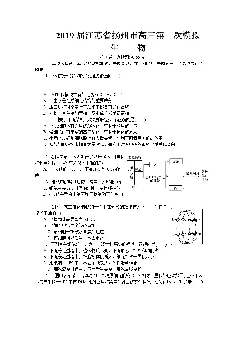 2019届江苏省扬州市高三第一次模拟考试 生物第1页
