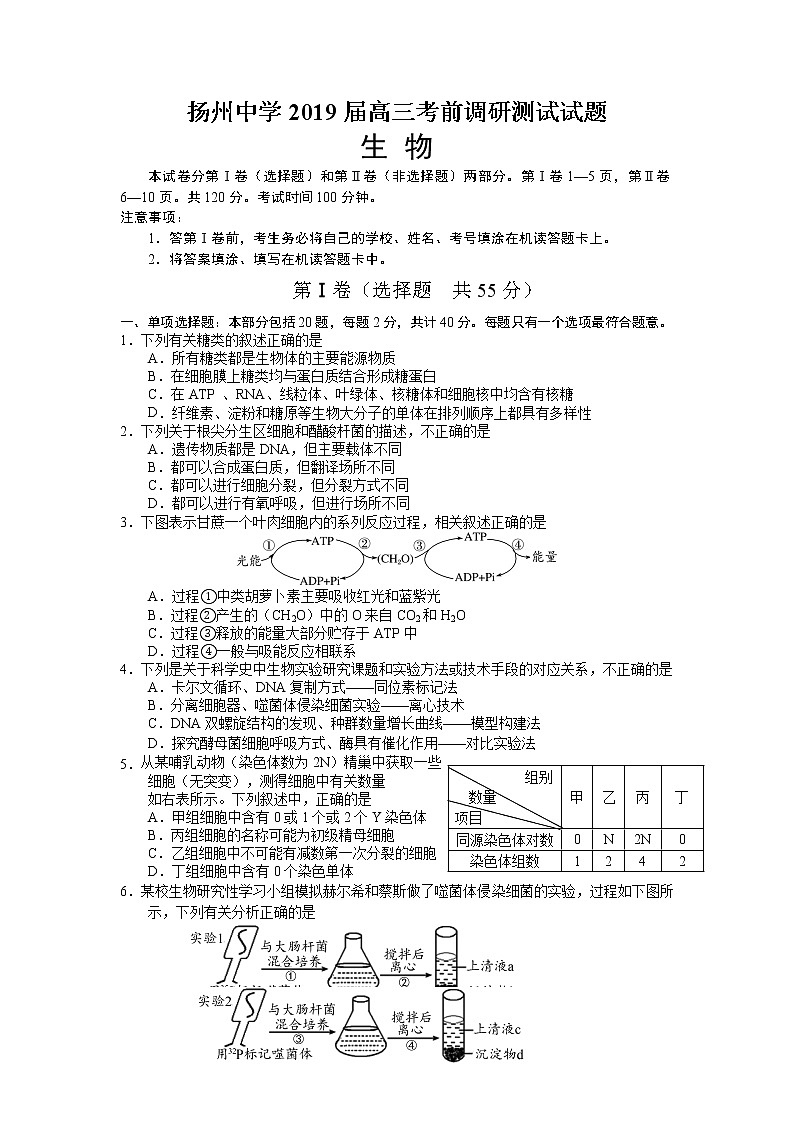 2019届江苏省扬州中学高三考前最后一卷（5月） 生物（word版）01