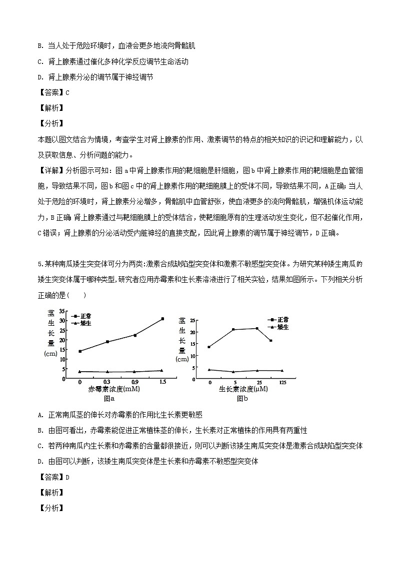 2019届江西省南昌市第十中学高三下学期期中考试（第二次模拟）理科综合生物试题（解析版）03