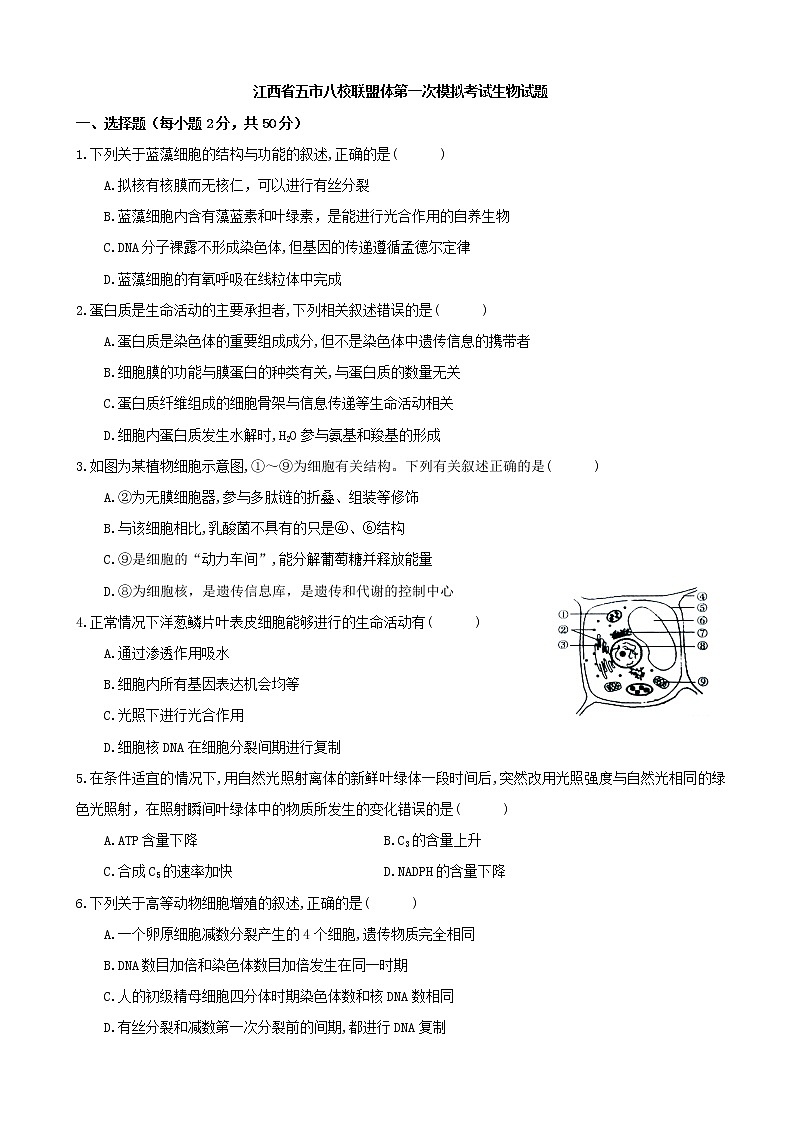 2019届江西省五市八校联盟体高三第一次模拟考试生物试题01