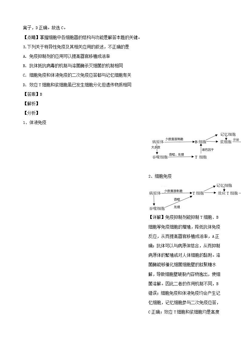 2019届辽宁省葫芦岛市普通高中高三第一次模拟考试理综合生物试题（解析版）第2页