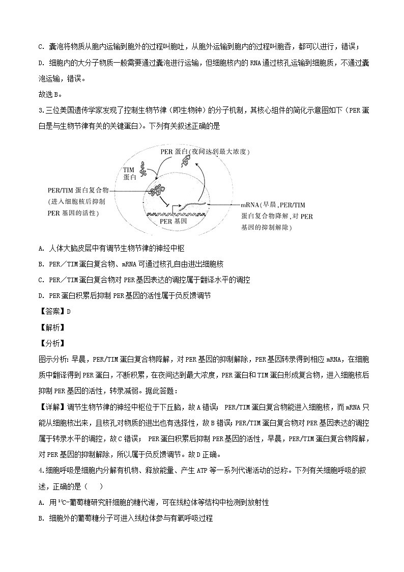 2019届辽宁省辽阳市高三下学期第一次模拟考试理科综合生物试题（解析版）第2页