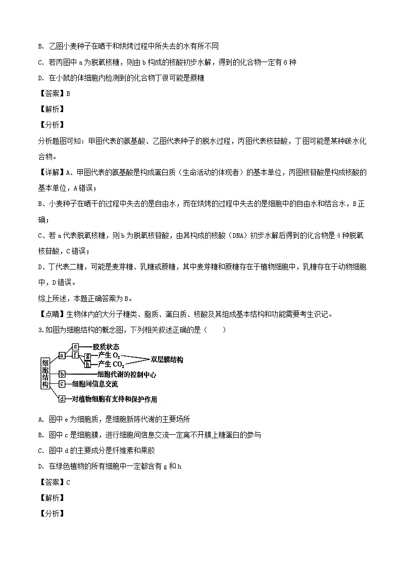 2019届辽宁省沈阳市东北育才学校高三上学期第三次模拟生物试题（解析版）第2页