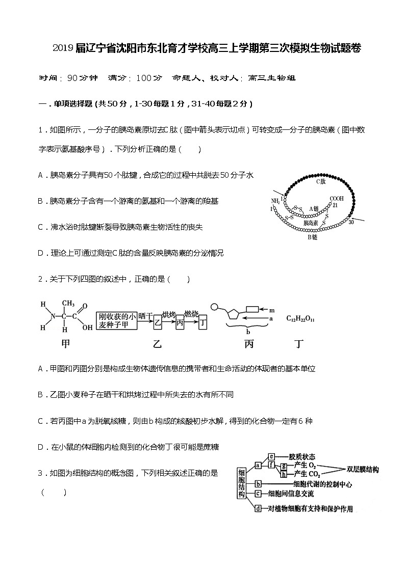 2019届辽宁省沈阳市东北育才学校高三上学期第三次模拟生物试题第1页