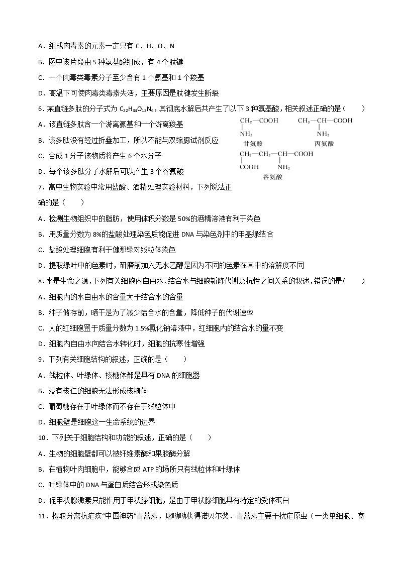 2019届辽宁省沈阳市东北育才学校高三上学期第一次模拟考试生物试题第2页