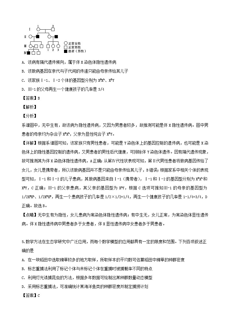 2019届广东省深圳市高级中学高三下学期适应性考试生物试题（解析版）03