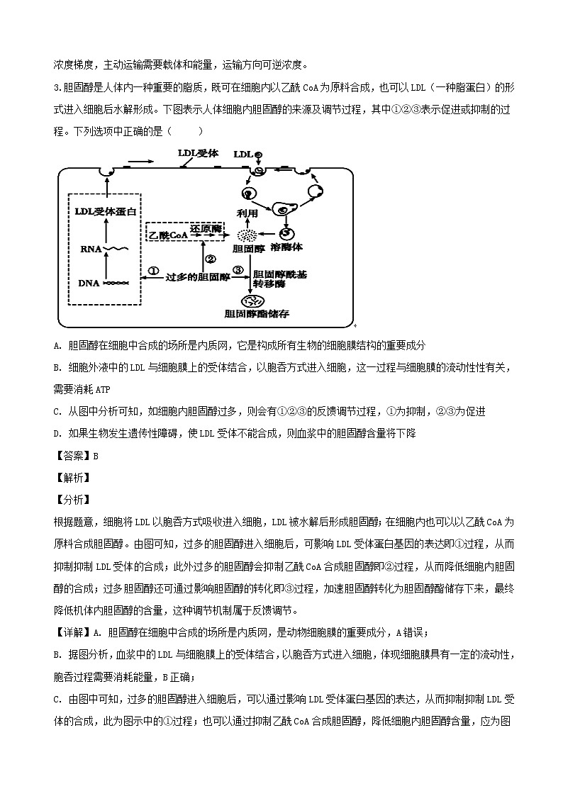 2019届广东省深圳市深圳高级中学高三上学期12月模拟考试生物试题（解析版）02
