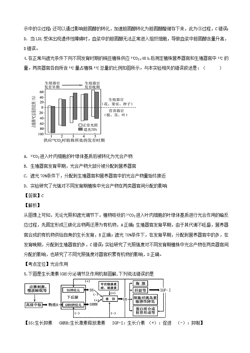 2019届广东省深圳市深圳高级中学高三上学期12月模拟考试生物试题（解析版）03