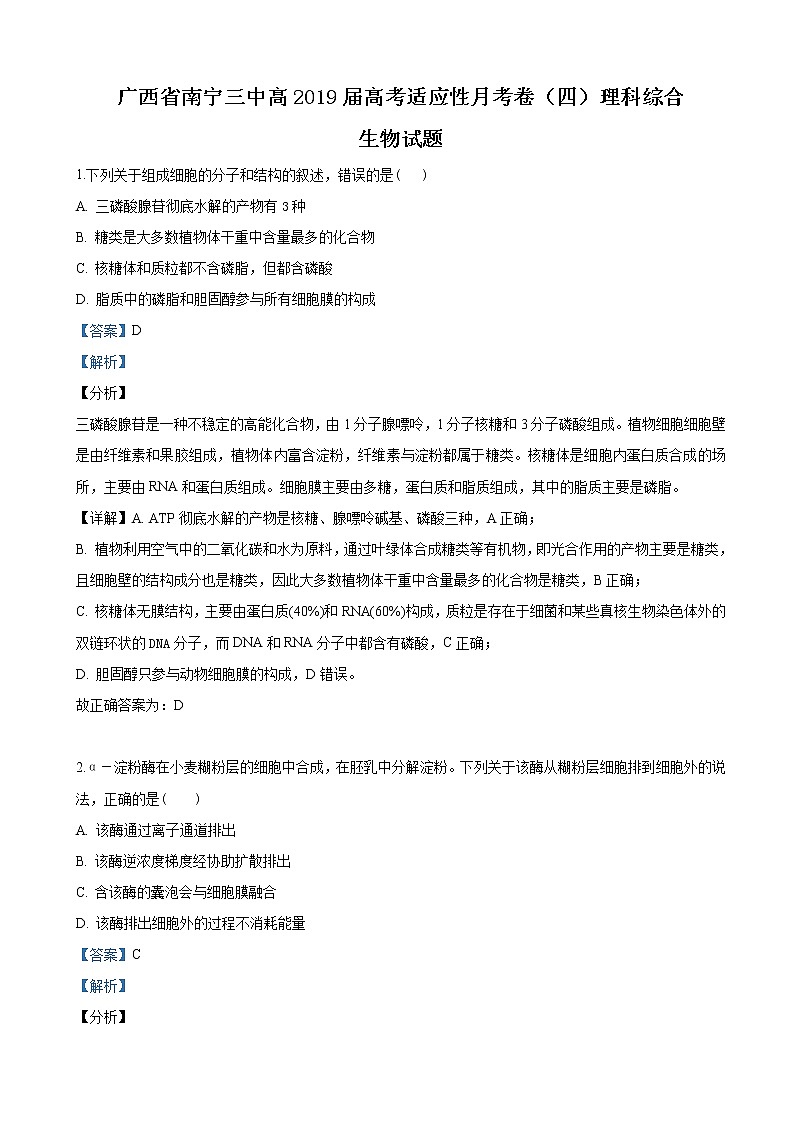 2019届广西壮族自治区南宁第三中学高三下学期高考适应性月考（四）理科综合生物试卷（解析版）01