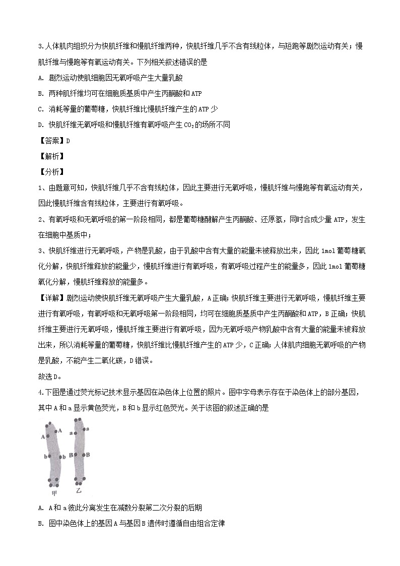 2019届贵州省贵阳市高三第一次模拟考试生物试卷（解析版）02