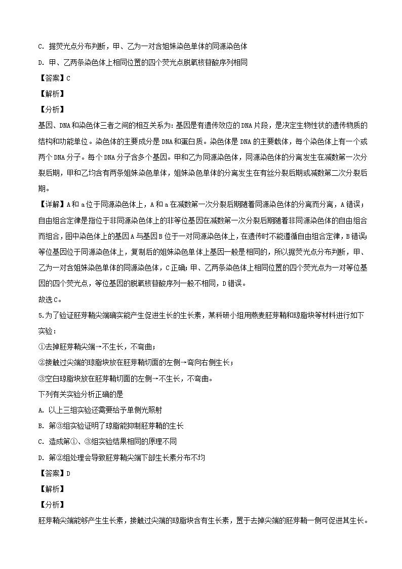 2019届贵州省贵阳市高三第一次模拟考试生物试卷（解析版）03