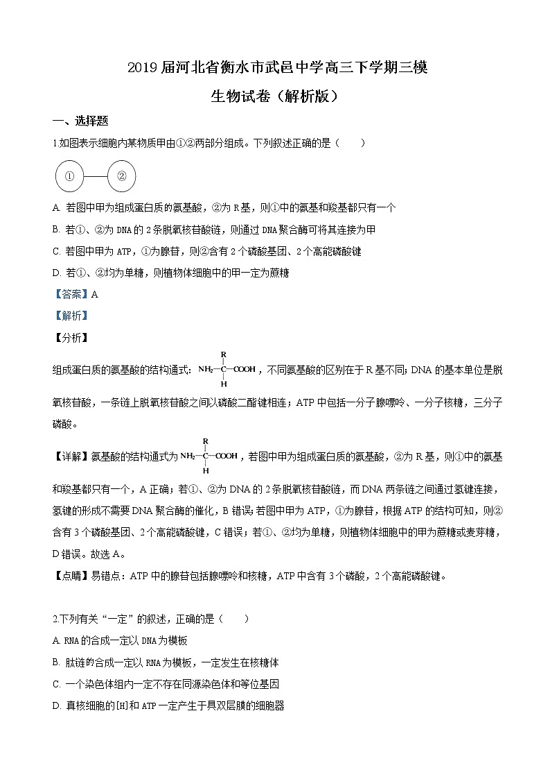 2019届河北省衡水市武邑中学高三下学期三模生物试卷（解析版）第1页