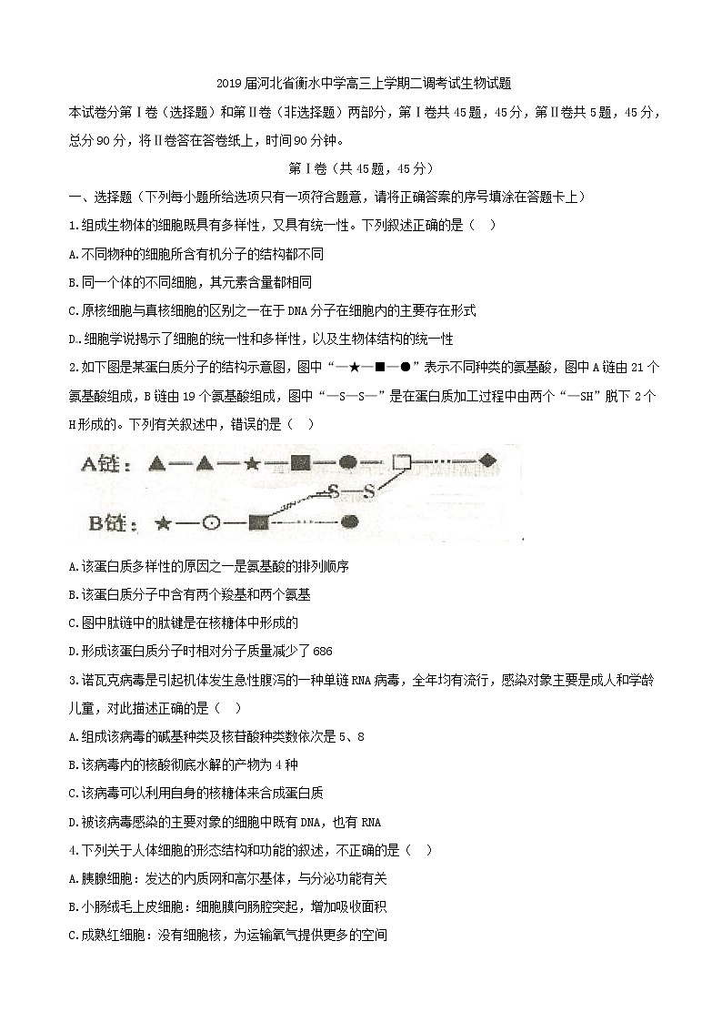 2019届河北省衡水中学高三上学期二调考试生物试题第1页