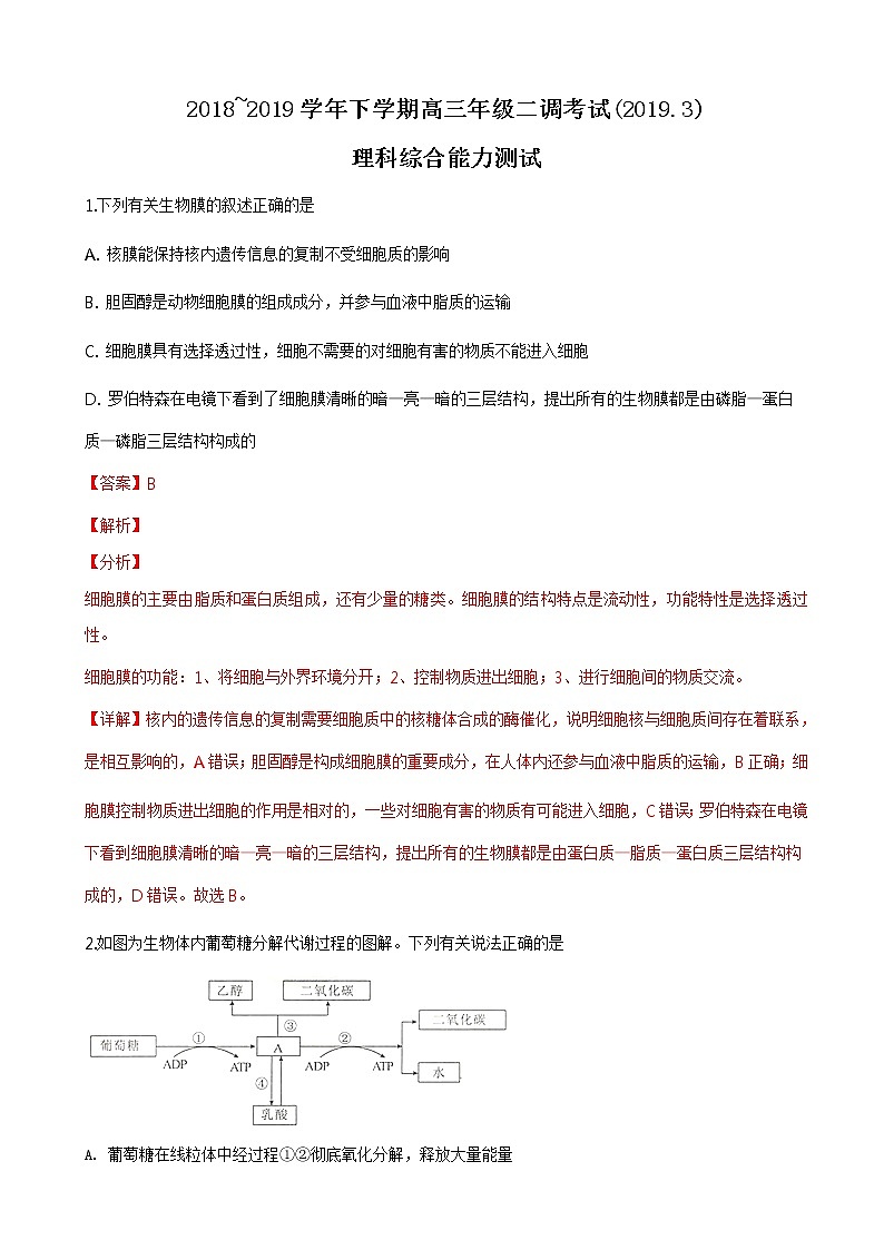 2019届河北省衡水中学高三下学期二调考试生物试题（解析版）第1页
