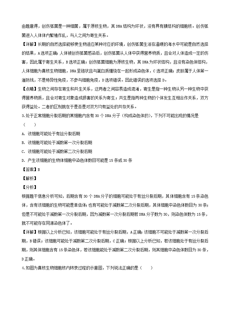 2019届河北省石家庄市第二中学高三质量检测模拟（一）理综生物试题（解析版）02