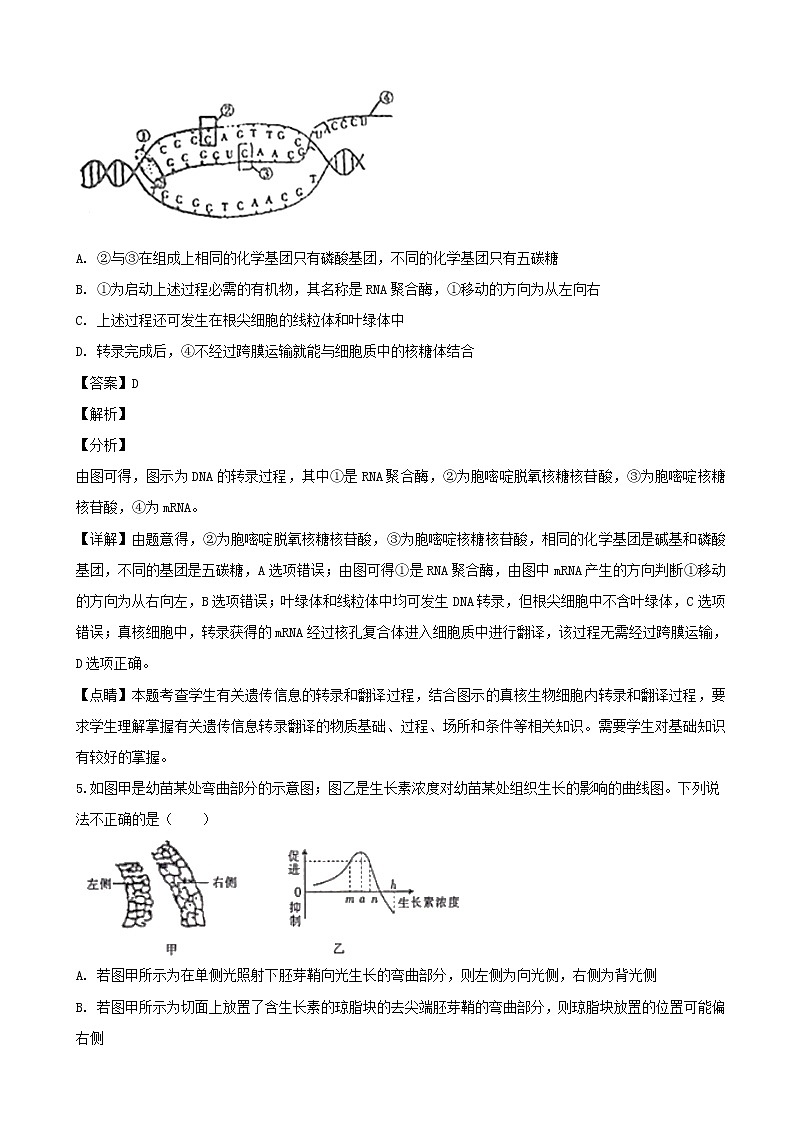 2019届河北省石家庄市第二中学高三质量检测模拟（一）理综生物试题（解析版）03