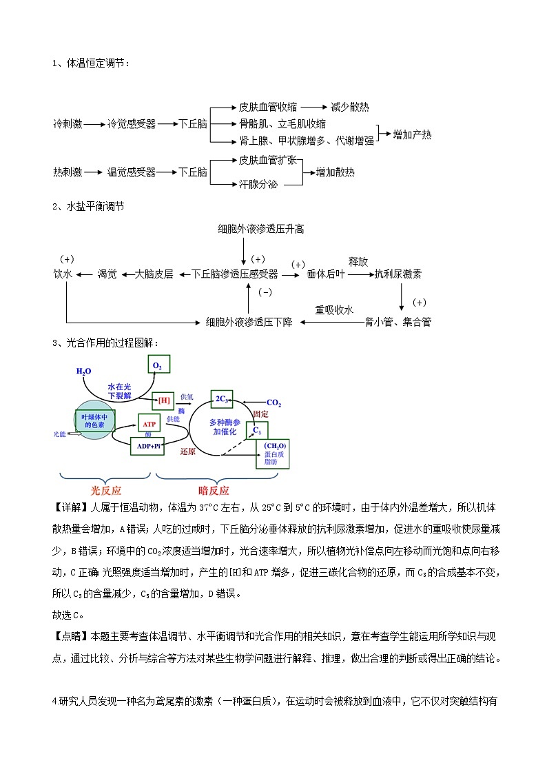 2019届河北省石家庄市高三高考生物一模试卷（解析版）03