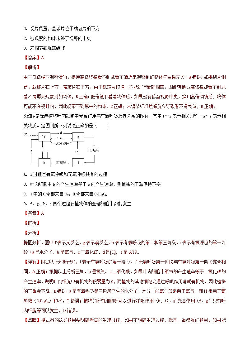 2019届河北省武邑中学高三上学期第二次调研考试生物试题（解析版）第3页