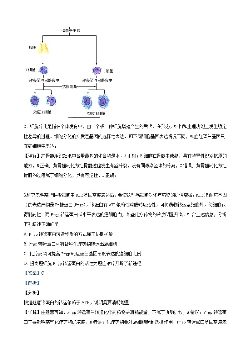 2019届河北省中原名校联盟高三下学期高考模拟（3月）生物试卷（解析版）02