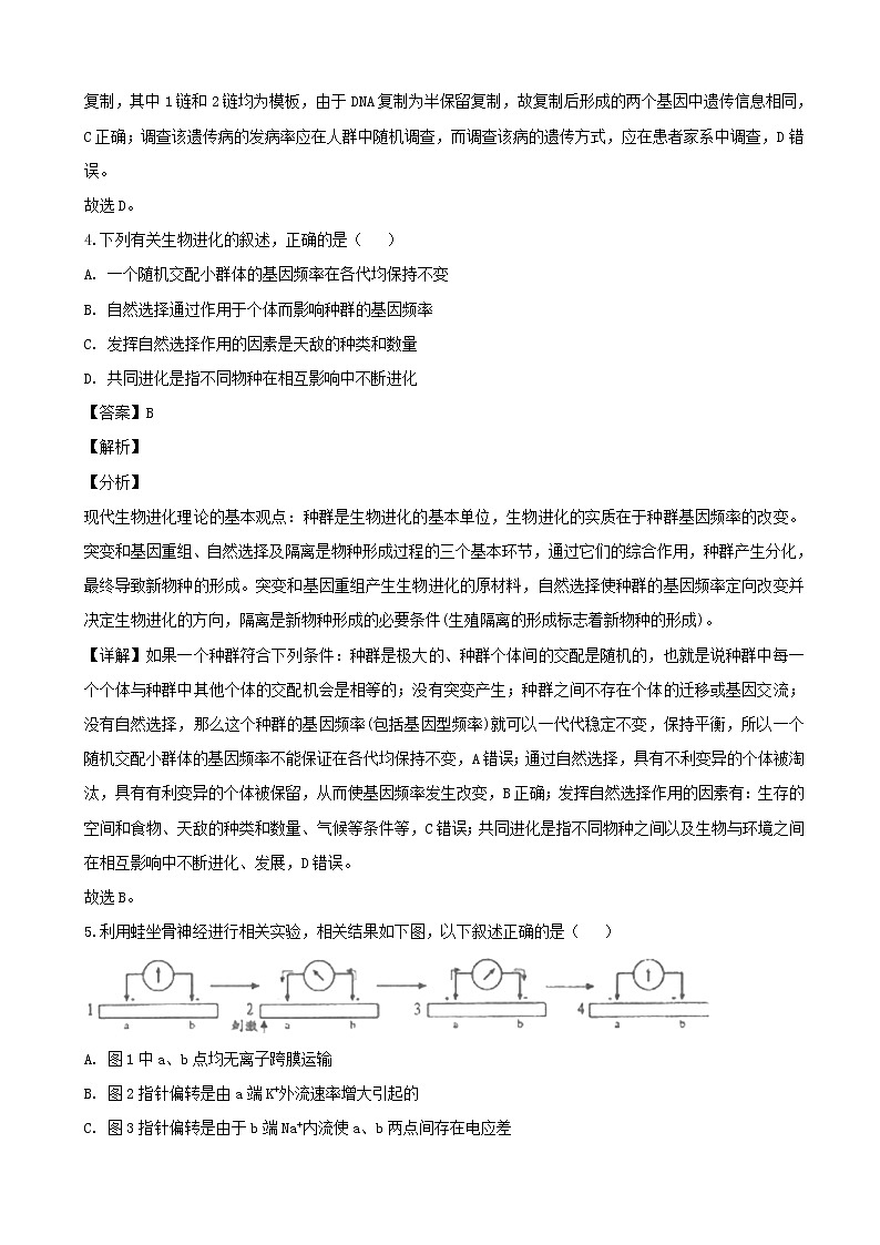2019届河南省开封市高三上学期第一次模拟考试理科综合生物试题（解析版）03