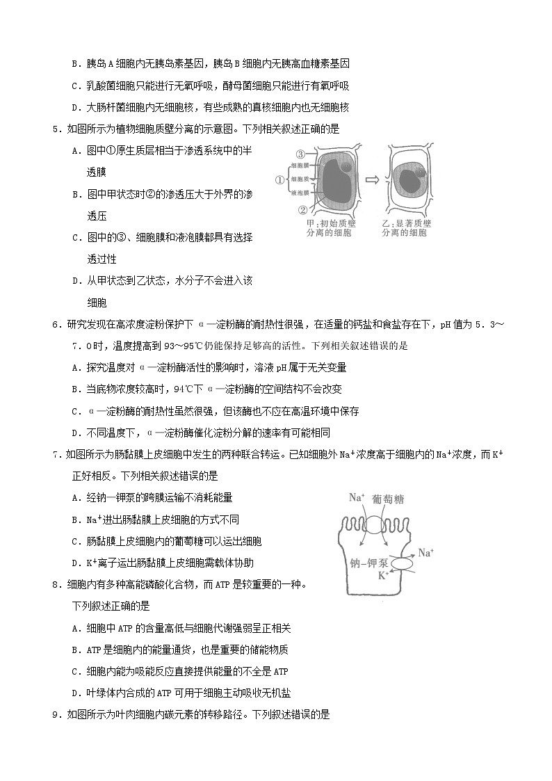 2019届河南省名校联盟高三上学期尖子生11月调研考试（三）生物（word版）02