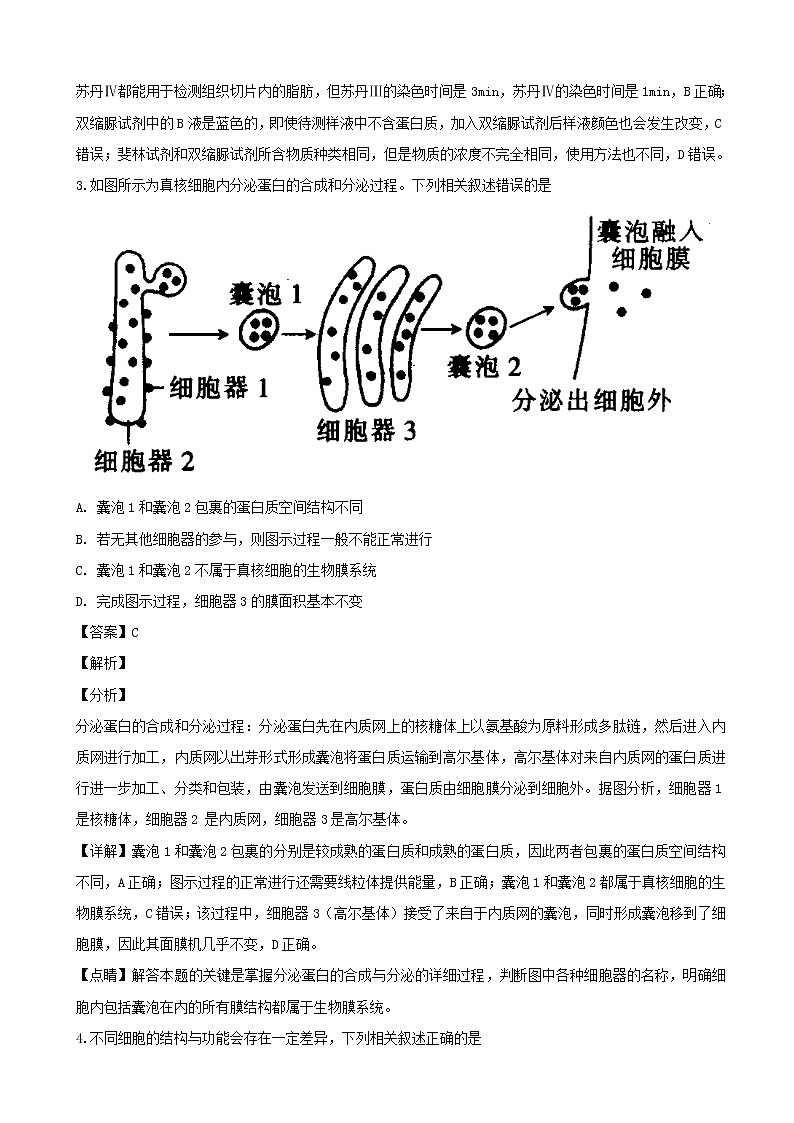 2019届河南省名校联盟高三上学期尖子生11月调研考试（三）生物试题（解析版）02