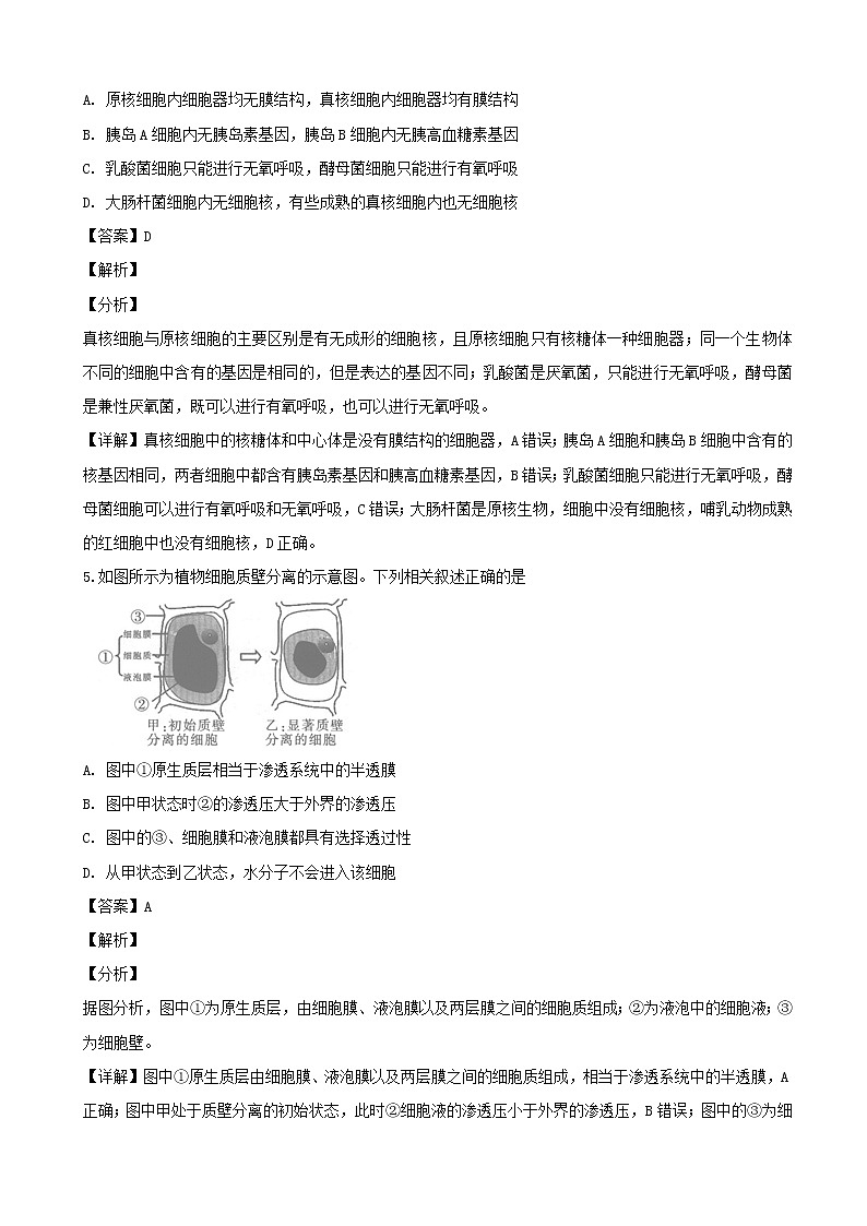 2019届河南省名校联盟高三上学期尖子生11月调研考试（三）生物试题（解析版）03