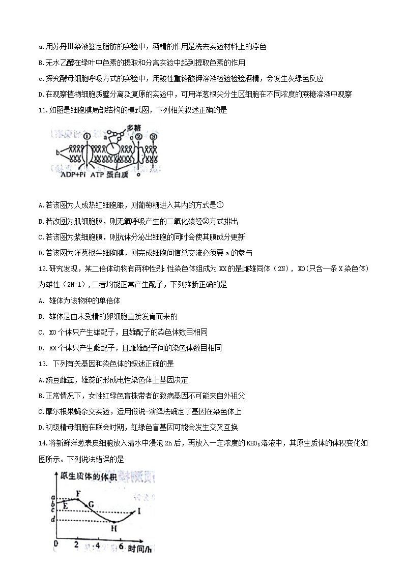 2019届河南省实验中学高三上学期质量预测模拟三生物试题03