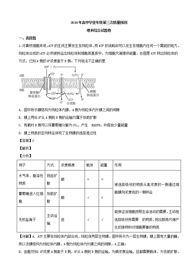 2019届河南省郑州市高三第三次模拟考试生物试题（解析版）01