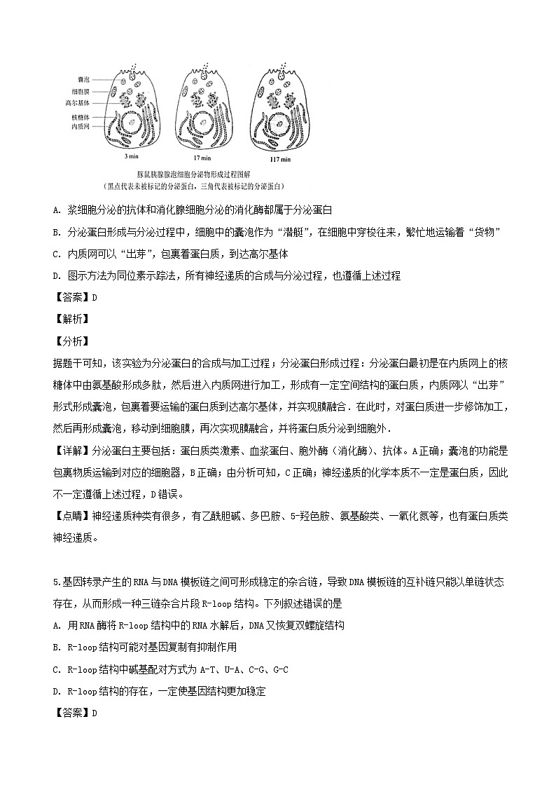 2019届黑龙江省哈尔滨市六中高三四模考试生物试题（解析版）第3页