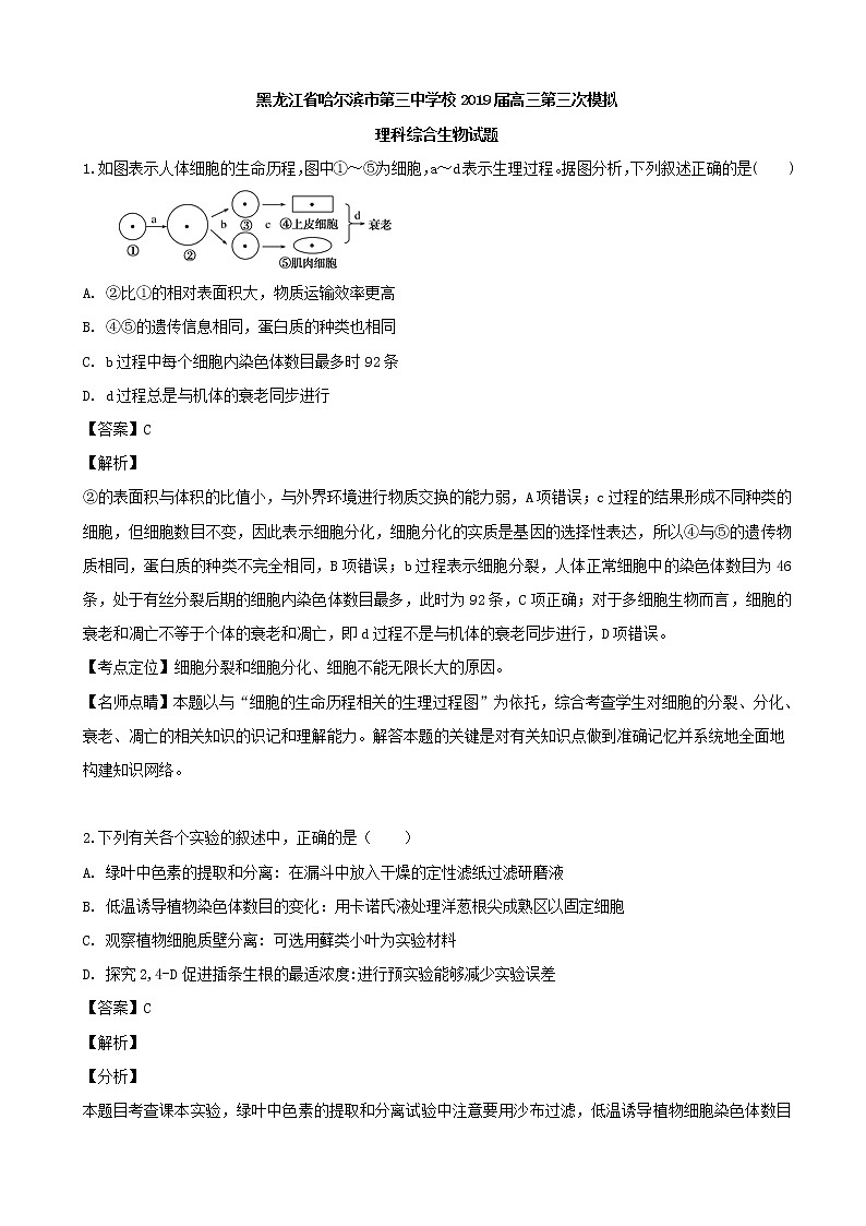 2019届黑龙江省哈尔滨市三中高三三模考试理综生物试题（解析版）第1页
