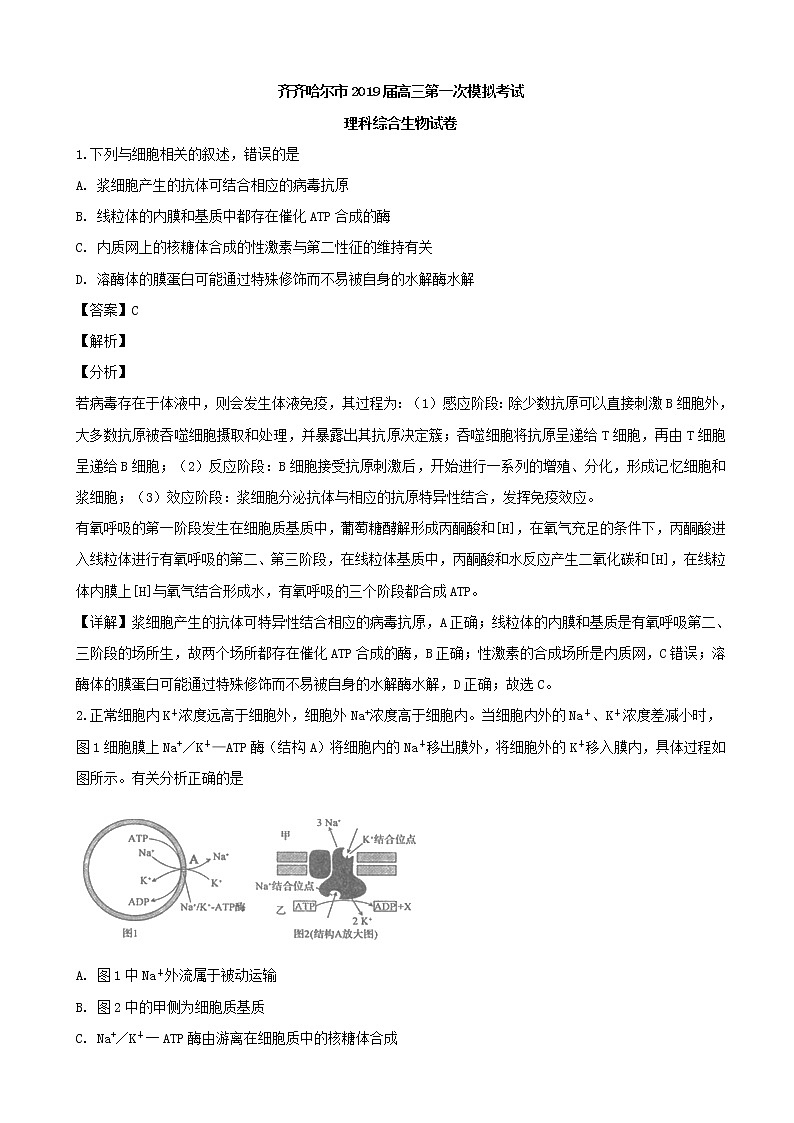 2019届黑龙江省齐齐哈尔市高三下学期第一次模拟考试（3月）理科综合生物试题（解析版）第1页