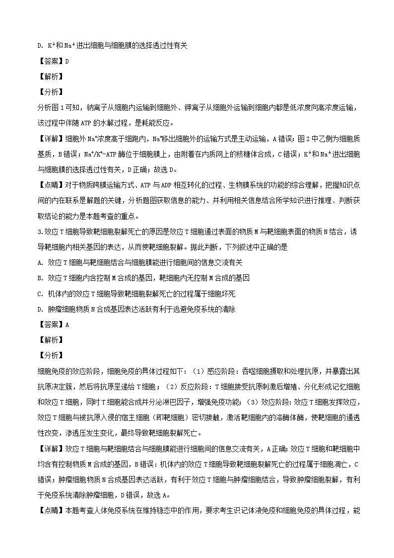 2019届黑龙江省齐齐哈尔市高三下学期第一次模拟考试（3月）理科综合生物试题（解析版）第2页