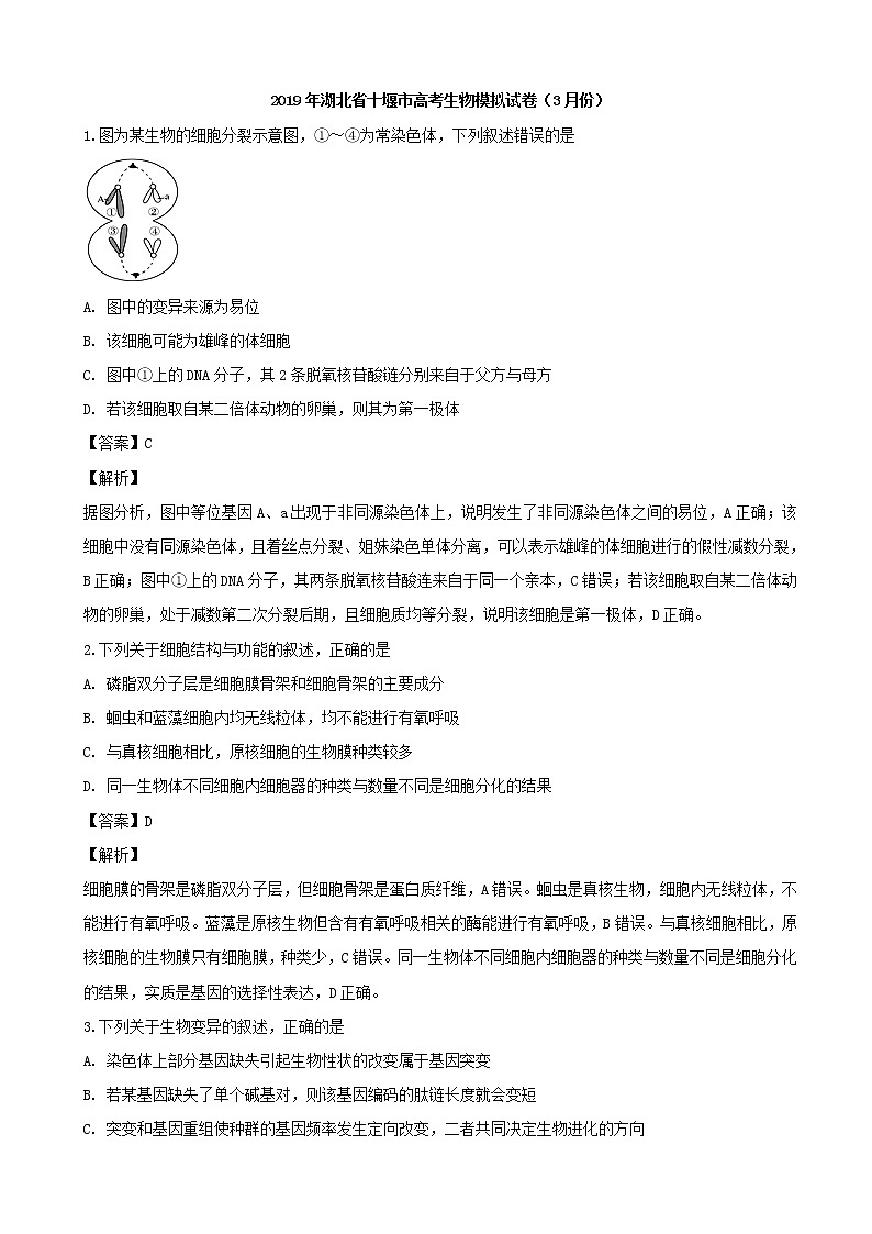 2019届湖北省十堰市高三高考生物模拟试卷（3月份）（解析版）01