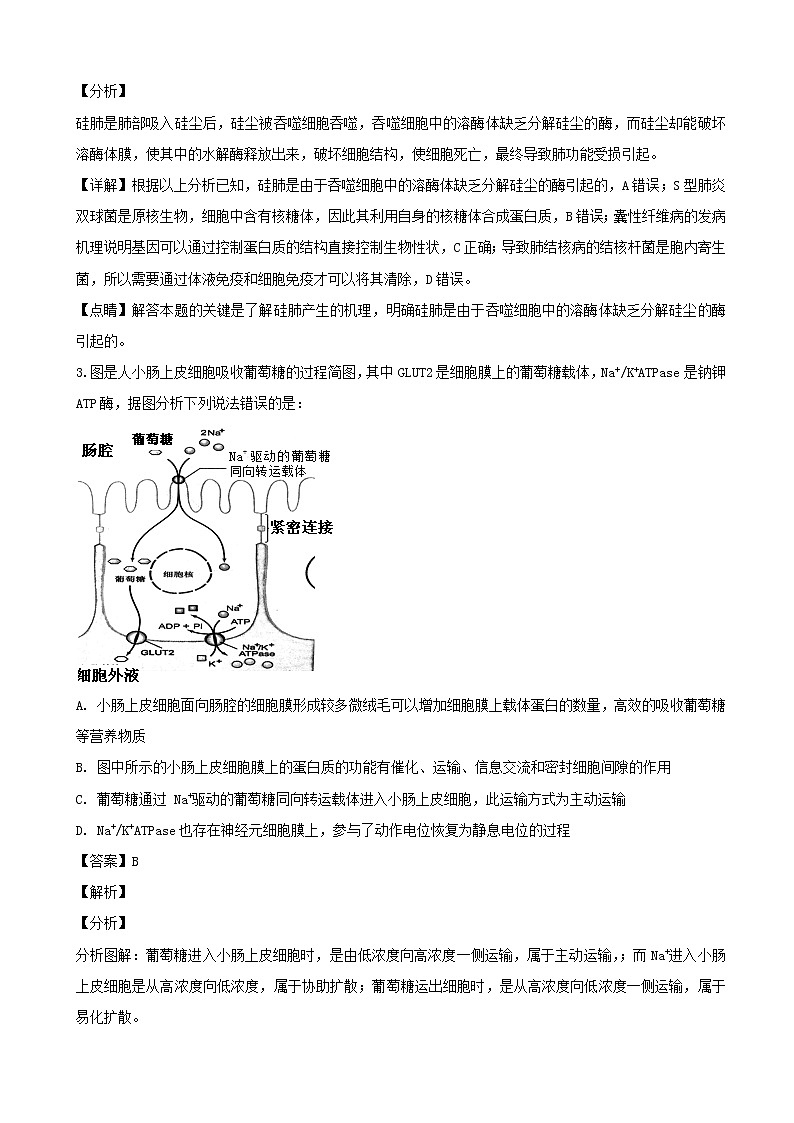 2019届湖南湖北八市十二校（湖南师范大学附属中学、衡阳八中等）高三下学期第二次调研联考理科综合生物试题（解析版）02