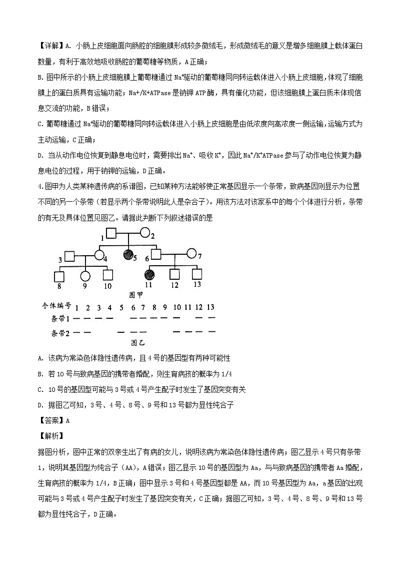 2019届湖南湖北八市十二校（湖南师范大学附属中学、衡阳八中等）高三下学期第二次调研联考理科综合生物试题（解析版）03