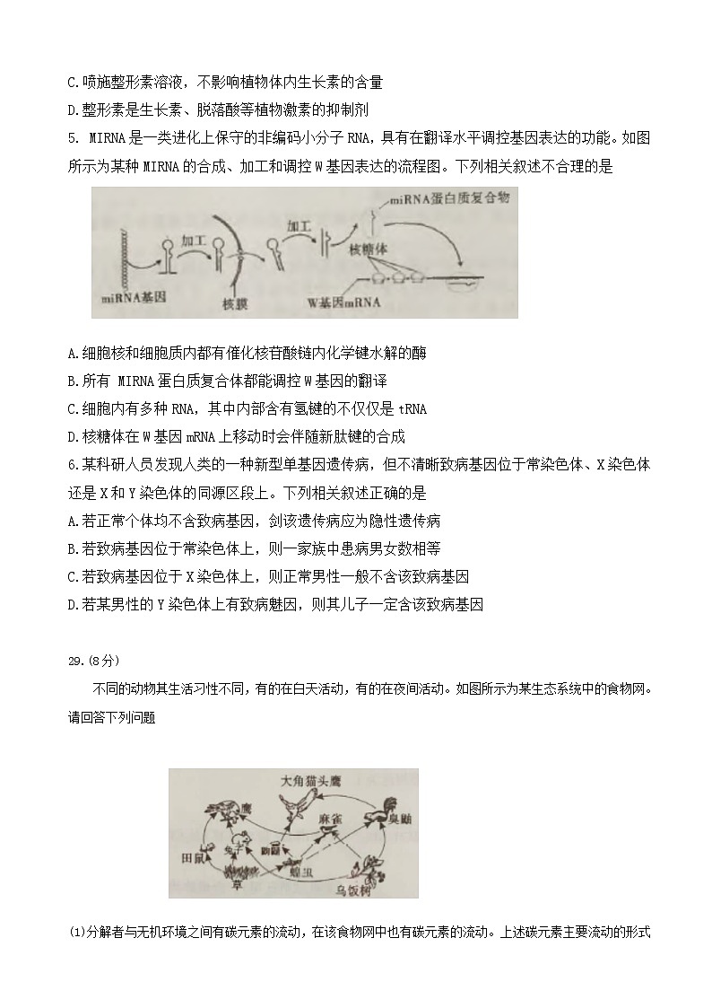 2019届安徽省A10联盟高三最后一卷 理科综合生物（解析版）第2页