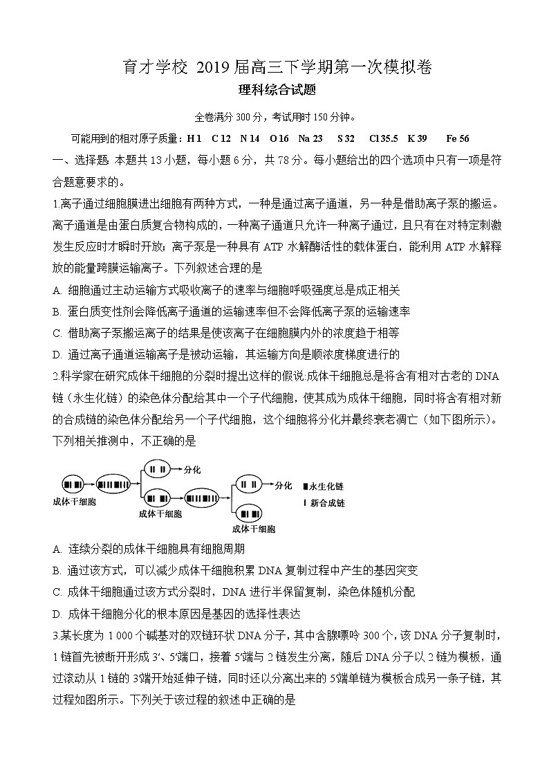 2019届安徽省定远育才学校高三（文化班）下学期第一次模拟考试理综生物试题（解析版）01