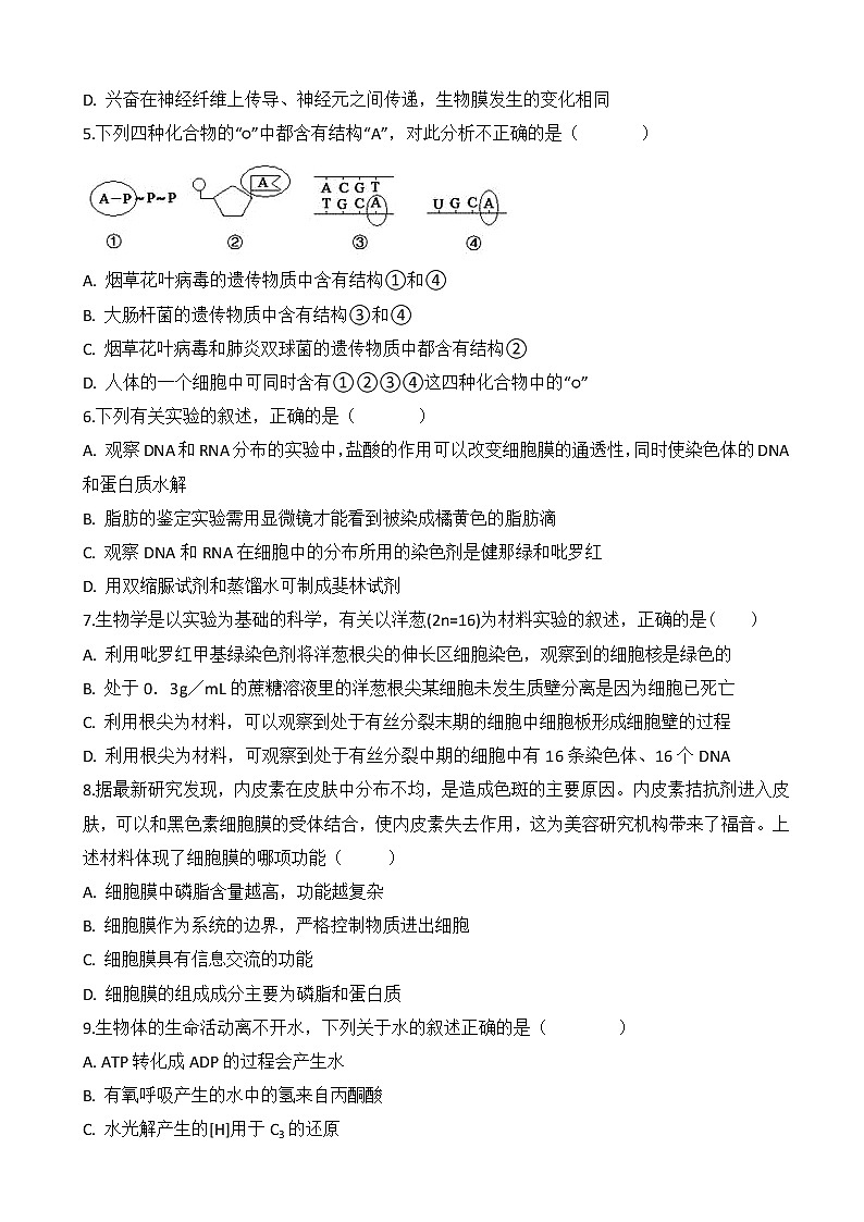 2019届安徽省肥东县高级中学高三10月调研考试生物试题02