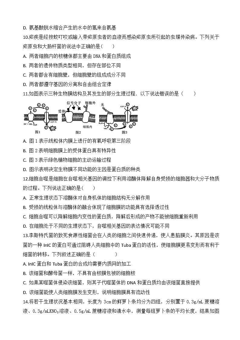 2019届安徽省肥东县高级中学高三10月调研考试生物试题03