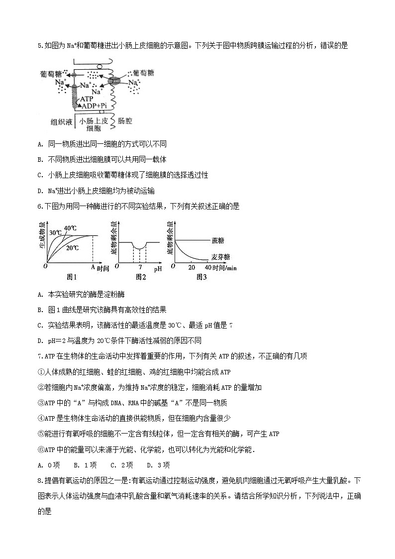 2019届安徽省肥东县高级中学高三12月调研考试生物试题第2页