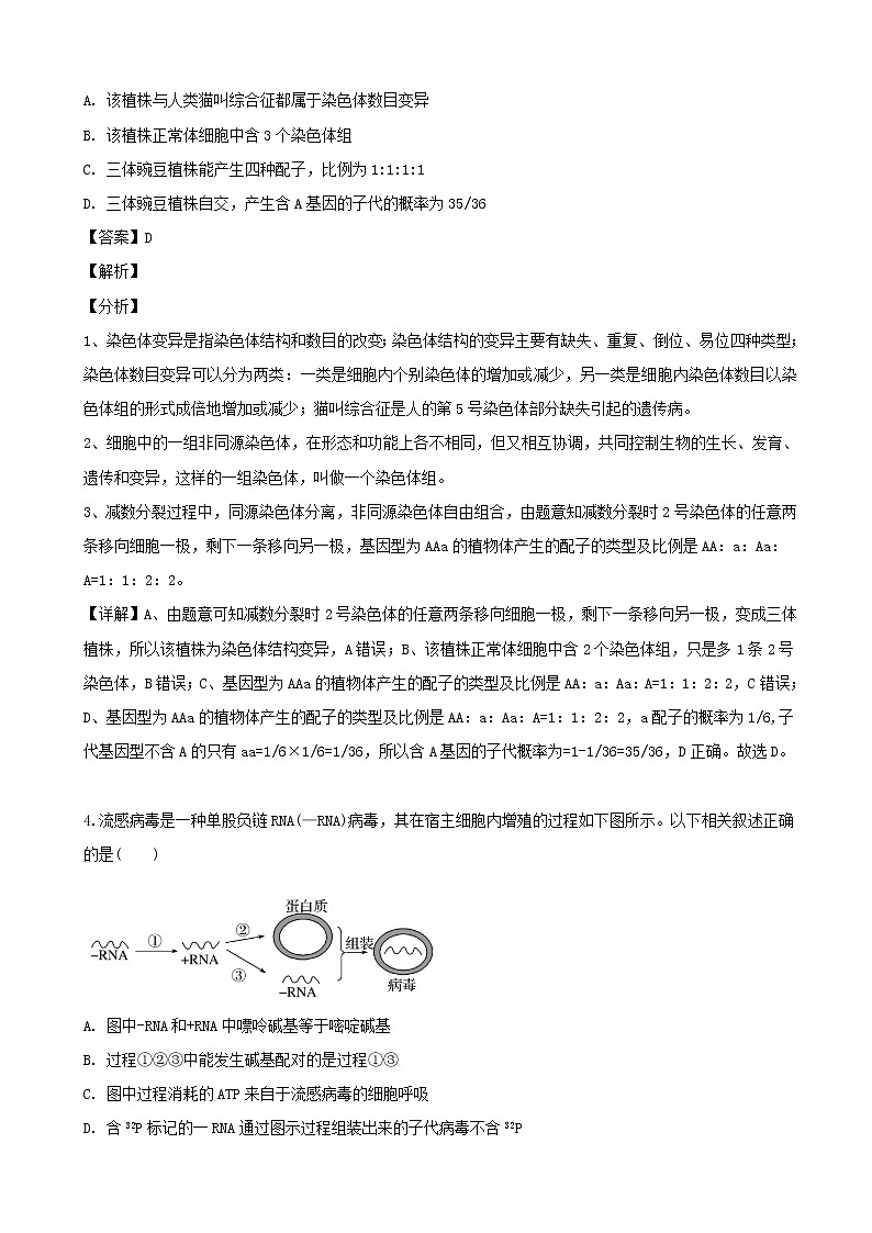 2019届安徽省三校（六安一中、合肥八中、阜阳一中）高三最后一卷理综生物试题（解析版）第3页