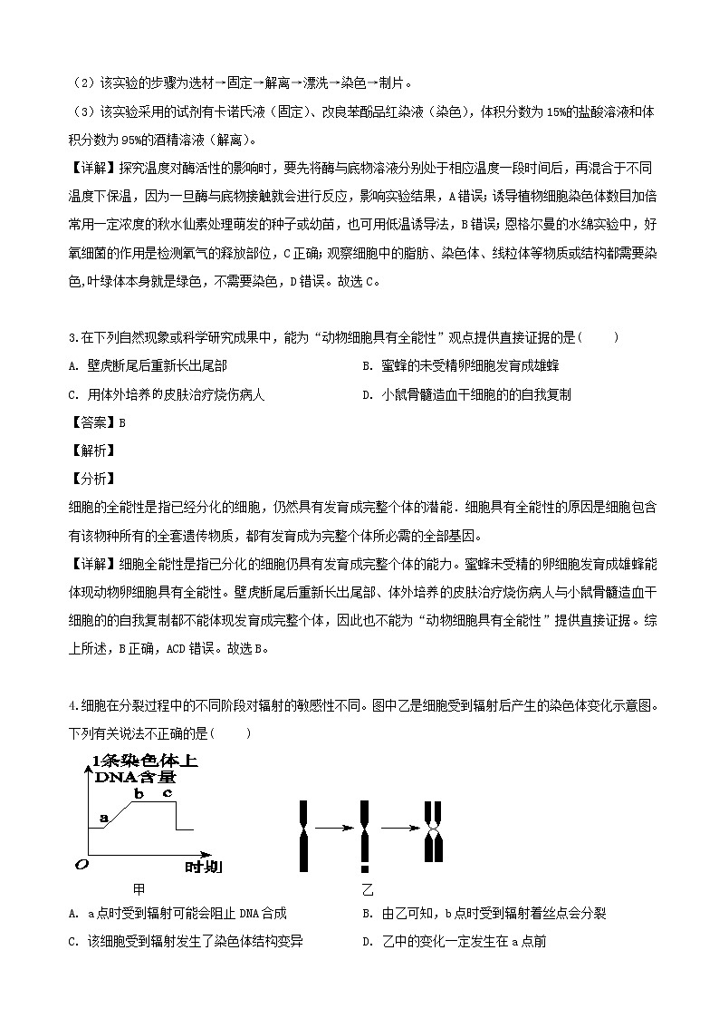 2019届安徽省师范大学附属中学高三5月考前适应性检测（最后一卷）理科综合生物试题（解析版）02