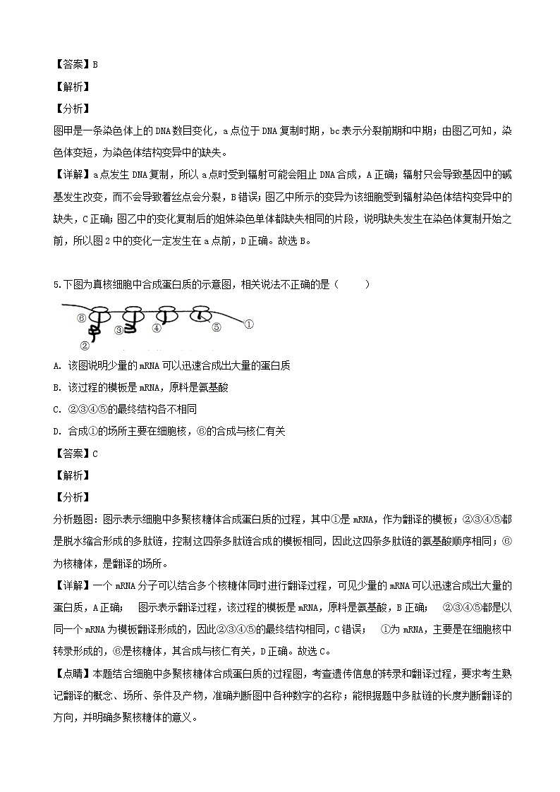 2019届安徽省师范大学附属中学高三5月考前适应性检测（最后一卷）理科综合生物试题（解析版）03