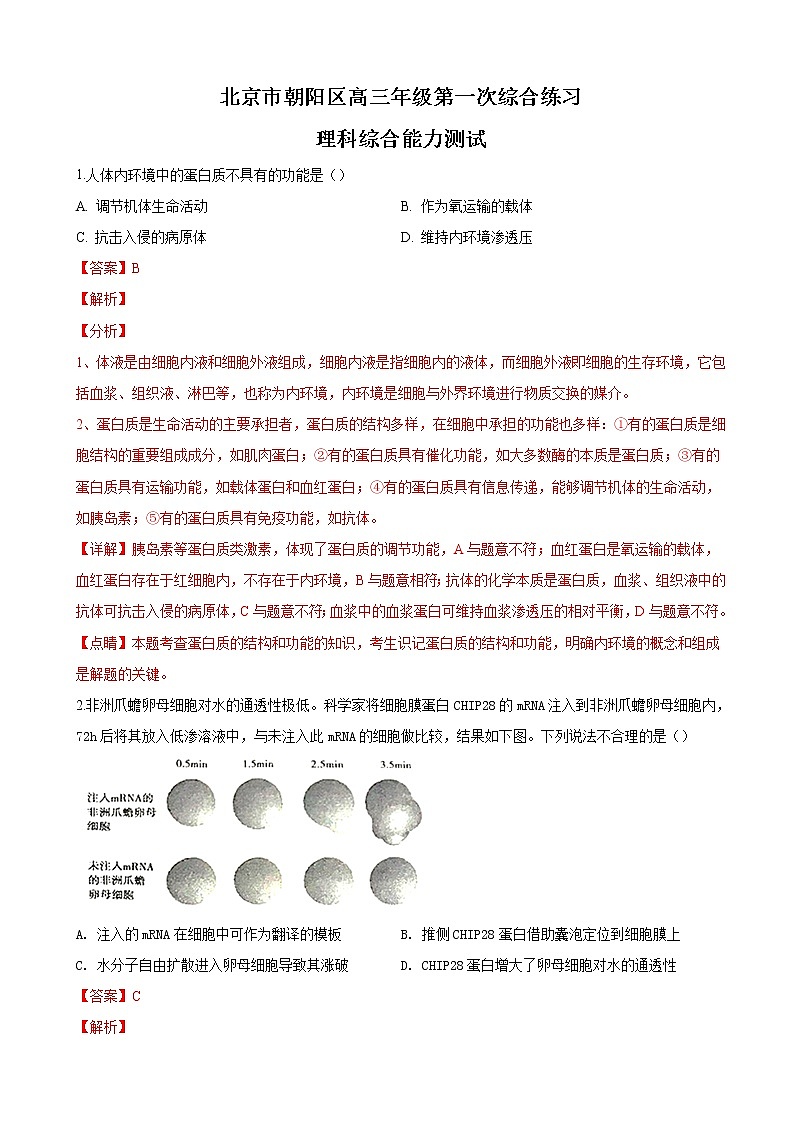 2019届北京市朝阳区高三第一次（3月）综合练习（一模）生物试卷（解析版）01