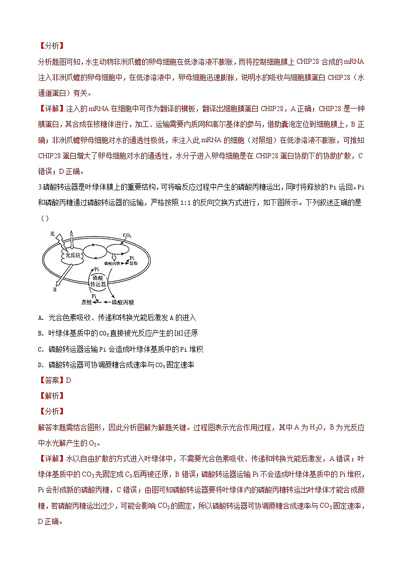 2019届北京市朝阳区高三第一次（3月）综合练习（一模）生物试卷（解析版）02