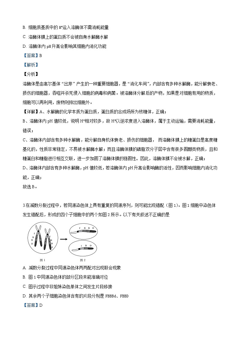 2019届北京市东城区高三下学期二模考试生物试卷（解析版）02